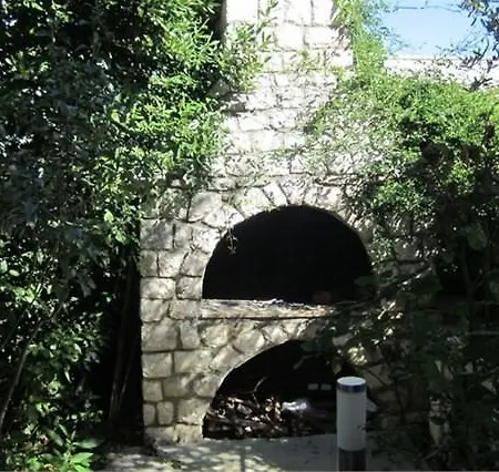 Mirela